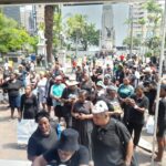 KZN Network Activities